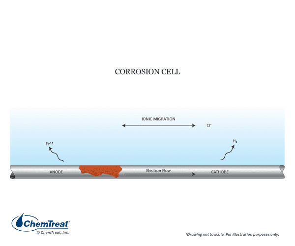 Базовая коррозионная ячейка: анод (окисление железа), катод (восстановление водорода), электрохимическая цепь